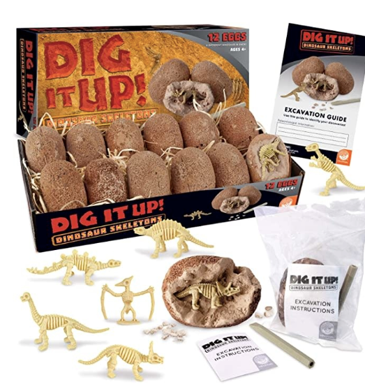Dig it Up! Dinosaur Skeletons 4Y+
